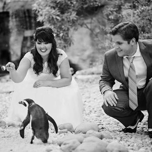 Meet your Posher, Morgan